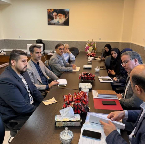 نشست هم اندیشی راه‌اندازی دانشکده داروسازی در دانشگاه علوم پزشکی اراک